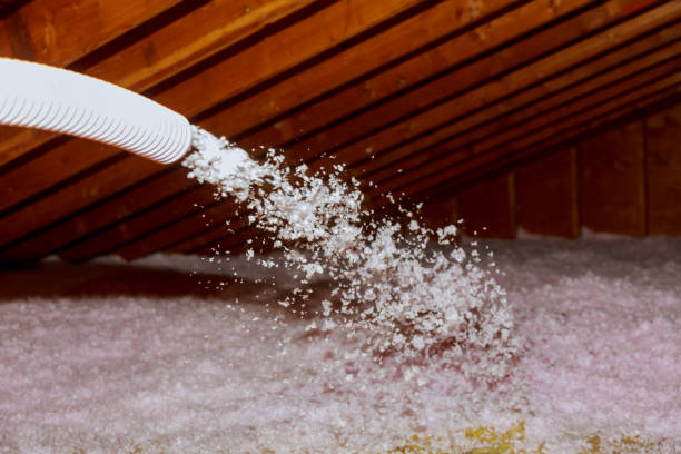 Best Eco-Friendly Insulation in Hamilton, MO