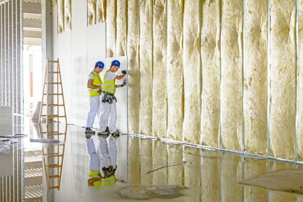 Best Cellulose Insulation in Hamilton, MO